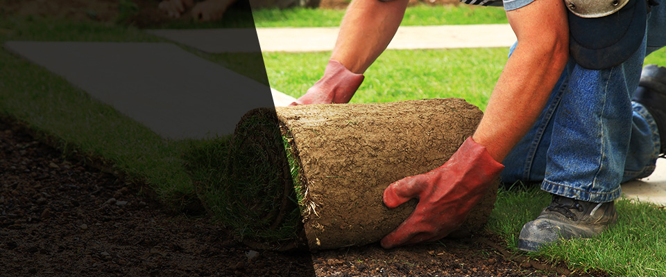 Mancelona Landscapers
